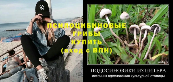 молекула духа Балабаново