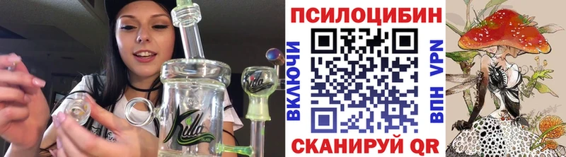 Псилоцибиновые грибы мухоморы  Купить закладки  Спасск-Рязанский 